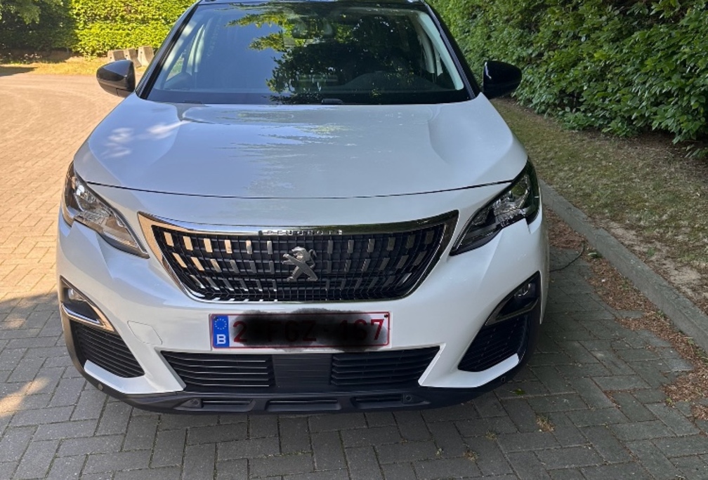 Peugeot 3008.1.2 PURÊ TECH ATIVE EU6.2
