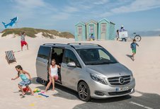 Série d’été - Conduire autrement : balade en camionnette avec la tribu